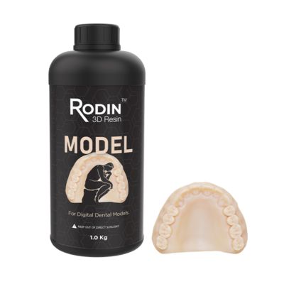 Rodin™ Model - PacDent 